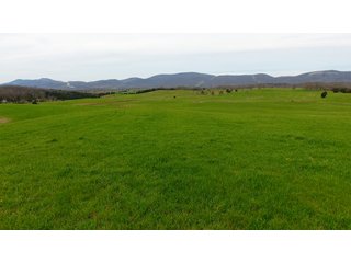 Property photo 17 - LAND AUCTION - 533+/- ACRES OFFERED IN 5 TRACTS IN HARDY COUNTY, WEST VIRGINIA